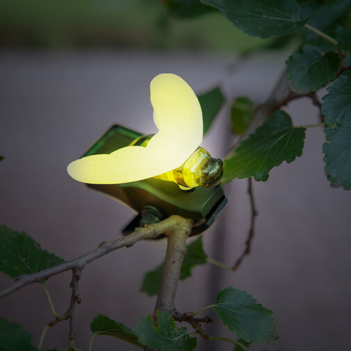 11753 • Solárna dekorácia so štipcom - lienka, motýľ, včielka -  11 x 6,5 x 10 cm - biela LED