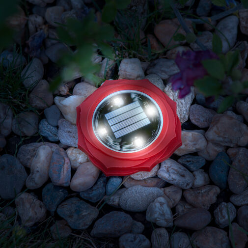 11767A • LED zapichovacia solárna lampa - červená - studená biela LED - 11,5 x 2,3 cm