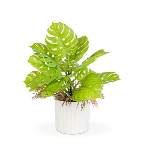 11888 • Dekorácia z umelých rastlín - monstera - 22 x 8,5 cm