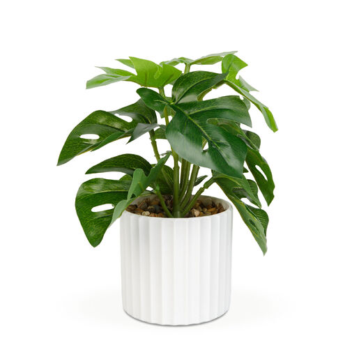 11892A • Umelá rastlina dekorácia - filodendron - zelená - 20 x 8 cm