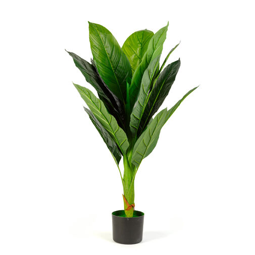 11911 • Umelá rastlina dekorácia - colocasia - 100 cm