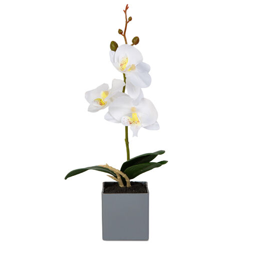 11914 • Umelá rastlinná dekorácia - orchidea - 3 druhy - 29,5 cm
