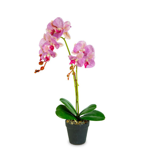 11918 • Umelá rastlinná dekorácia - orchidea - 2 druhy - 54 cm