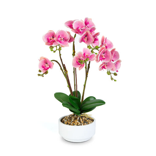 11919 • Umelá rastlinná dekorácia - orchidea - 5 druhov - 56 cm