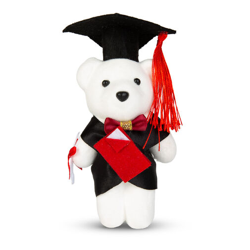 11970 • Darček - Macko pre absolventa - 13 cm