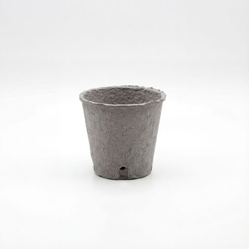 11986 • Kvetináč na pestovanie priesad - Ø8 cm - okrúhly, papier - 10 ks / balenie