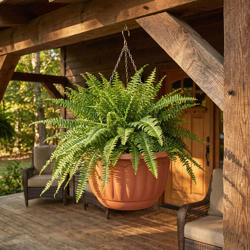 11993 • Závesný plastový kvetináč s retiazkou - terakota - 30 x 18 cm