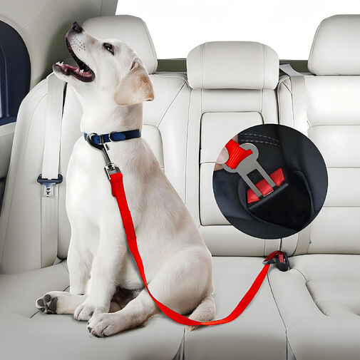 55701 • Autopopruh k bezpečnostnému pásu – 45–70 cm, 3 farby