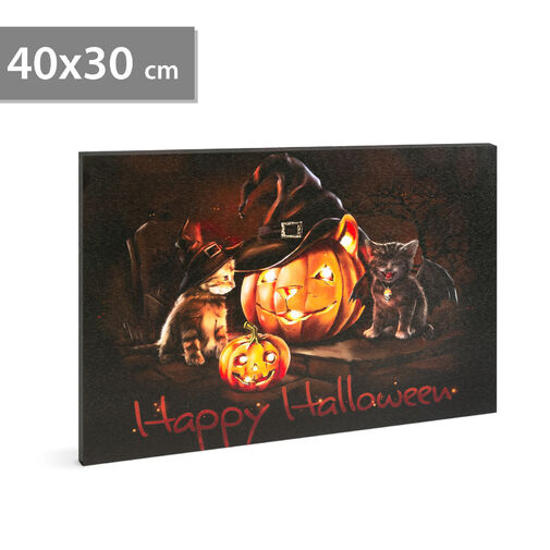 58400 • Halloweensky LED obrázok - s vešiakom na stenu , 2 x AA, 40 x 30 cm