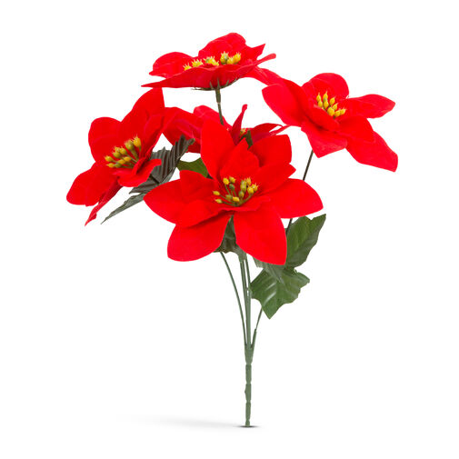 58681A • Vianočný mikulášsky kvet - červený