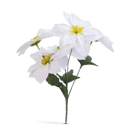 58681B • Vianočný mikulášsky kvet - biely