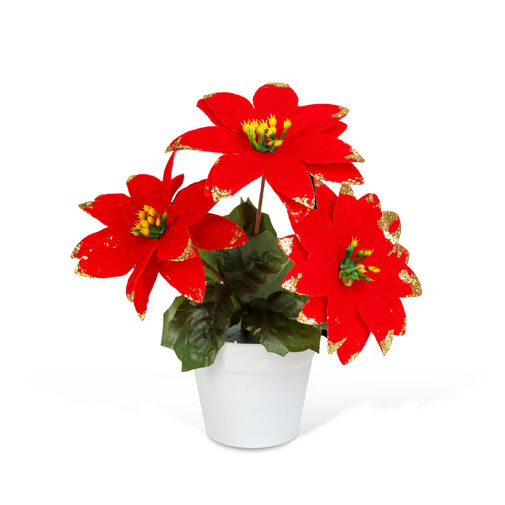58856 • Poinsettia v kvetináči – červená – 18 cm