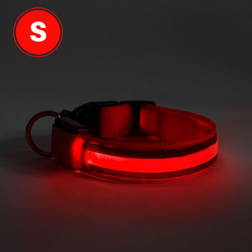 60027B • LED obojok - s akumulátorom - veľkosť S - červená