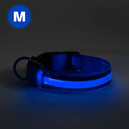 60028A • LED obojok - s akumulátorom - veľkosť M - modrá