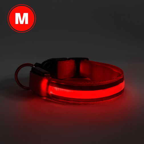 60028B • LED obojok - s akumulátorom - veľkosť M - červená