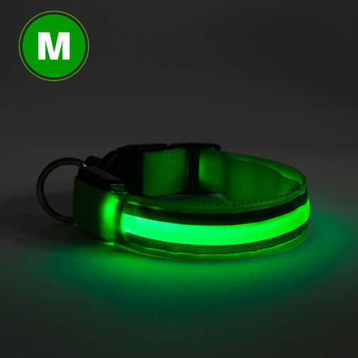 60028D • LED obojok - s akumulátorom - veľkosť M - zelená