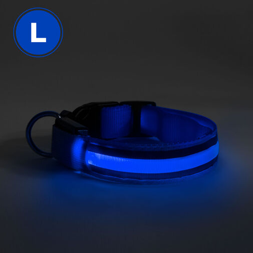 60029A • LED obojok - veľkosť L - modrá
