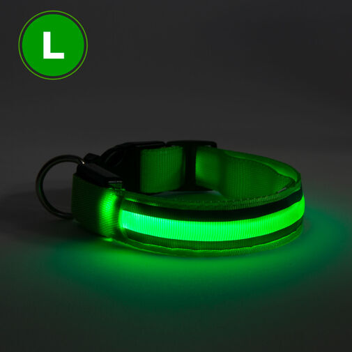 60029D • LED obojok  - s akumulátorom -  veľkosť L - zelená