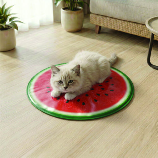 60094A • Chladiaca podložka pre domáce zvieratá – kivi, pomaranč, melón – 50 cm